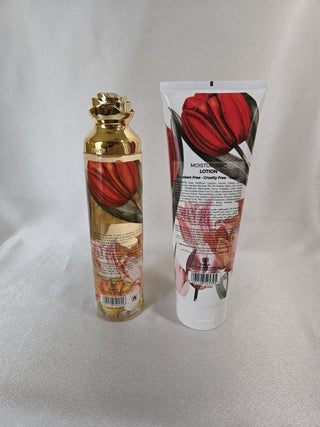 FLOWER'S SECRET TULIP SET SPECIAL SALE
